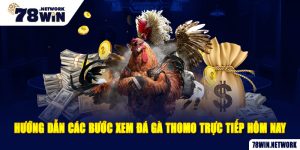 Hướng dẫn các bước xem đá gà Thomo trực tiếp hôm nay