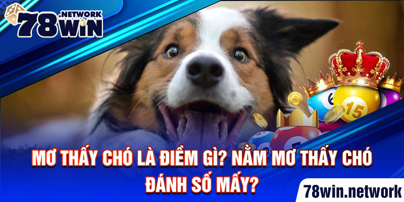 Mơ thấy chó là điềm gì? Nằm mơ thấy chó đánh số mấy? Mơ thấy chó là điềm gì? Nằm mơ thấy chó đánh số mấy?