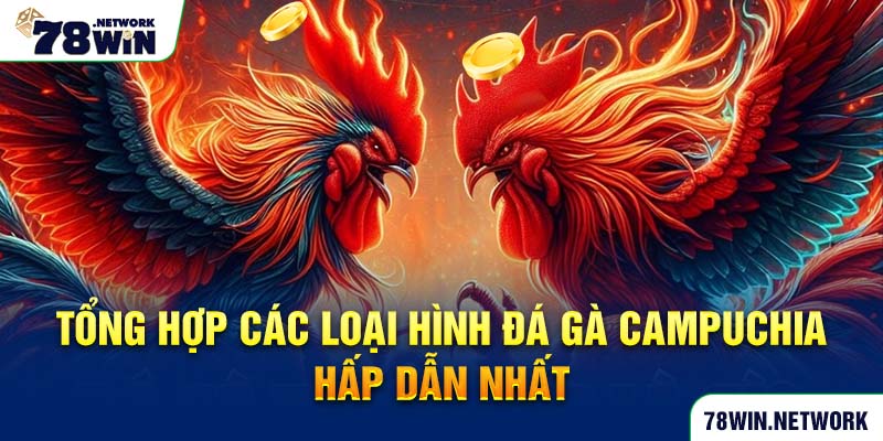 Tổng hợp các loại hình đá gà Campuchia hấp dẫn nhất